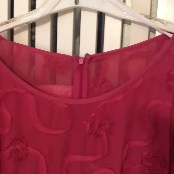 Beautiful Dress Cerise Color with Ornamental Accents and Ruffled Sleeves. - Picture 3 of 9